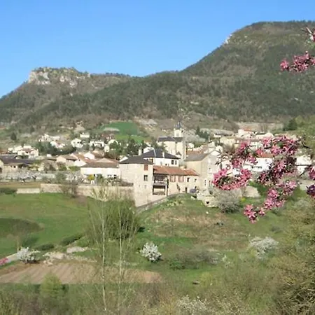 Les Fleurs De Marie