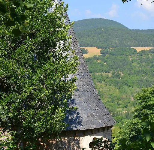 Les Fleurs De Marie Semesterbostad La Cresse